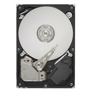 Seagate ST3160318AS-RF