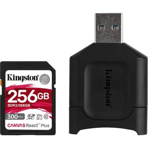 Kingston MLPR2/256GB