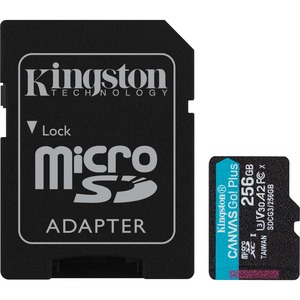 Kingston SDCG3/256GB