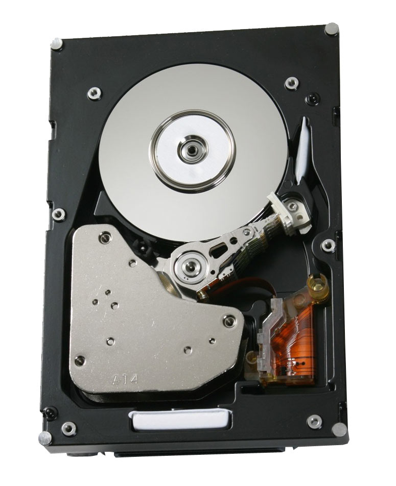 0B22153 Hitachi Ultrastar 15K300 300GB 15000RPM Fibre Channel 4Gbps 16MB Cache 3.5-inch Internal Hard Drive