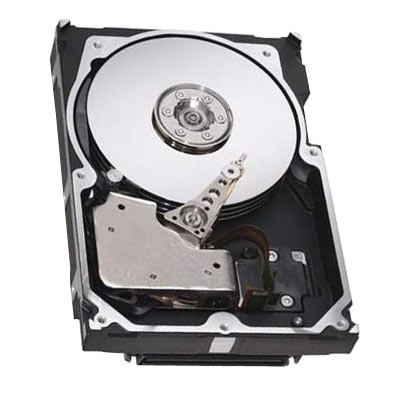 100-880-192 EMC 146GB 10000RPM Fibre Channel 2Gbps 16MB Cache 3.5-Inch Internal Hard Drive for DMX Series