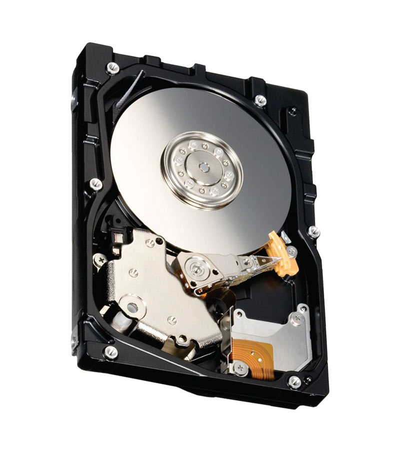 42D0423 IBM 146GB 10000RPM SAS 3Gbps 2.5-inch Internal Hard Drive