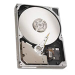 Seagate ST318307LC