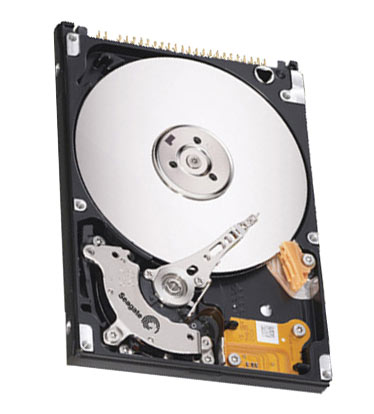 ST9160821AB Seagate Momentus 5400.3 160GB 5400RPM ATA-100 8MB Cache 2.5-inch Internal Hard Drive