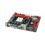 Biostar 0-A55MLV
