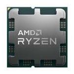 AMD 100-100000597MPK