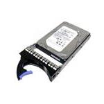 IBM 49Y2004-RMK