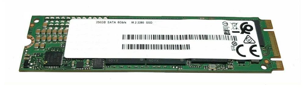 6JV14AV HP 256GB TLC SATA 6Gbps M.2 2280 Internal Solid State Drive (SSD)