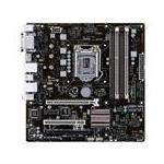 ASUS 90MB0G20-M0UBY0