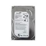 Seagate 9SL131-303