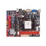 Biostar A55MD2