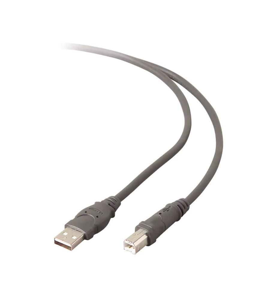 F3U133-10 Belkin USB 2.0 Cable USB 10 ft 1 x Type A Male USB 1 x Type B Male USB