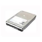 Hitachi HUA721075KLA330-IBM