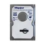 Maxtor L01R250