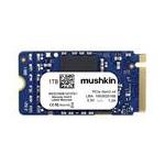 Mushkin MKNSSDVL1TB-D4