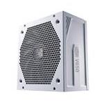 Cooler Master Co MPY-650V-AGBAG-IN