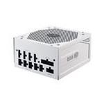 Cooler Master Co MPY-850V-AGBAG-IN