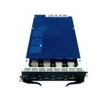 Foundry Networks NI-MLX-10GX4