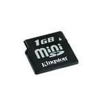 Kingston SDM/1GBFE