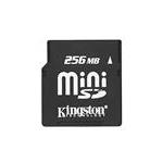 Kingston SDM/256FE