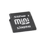 Kingston SDM/512FE