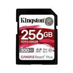 Kingston SDR2/256GB