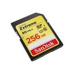 SanDisk SDSDXNF-256G-ANC