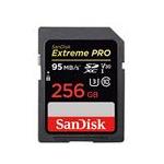SanDisk SDSDXXG-256G-ANC