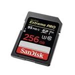 SanDisk SDSDXXG-256G-ZN4IN