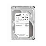 Seagate ST1000NM0001-EQL