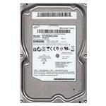 Seagate ST2000DL004