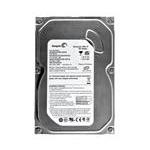 Seagate ST3160815A-25PK