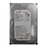 Seagate ST3250624AS