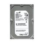 Seagate ST3750640NS-502