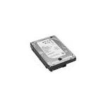 Seagate ST60000NM0034