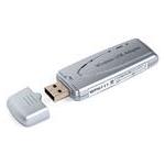 NetGear WPN111