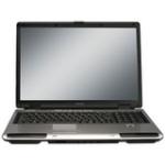 Toshiba PSPAAU01200S